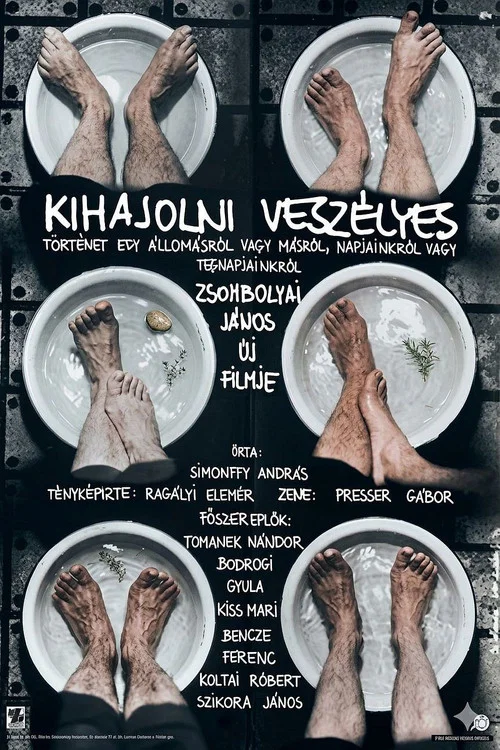 Kihajolni veszélyes постер