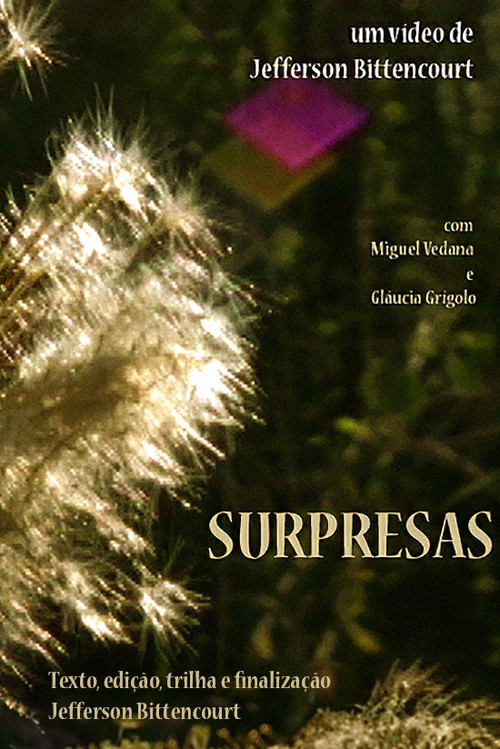 Surpresas постер