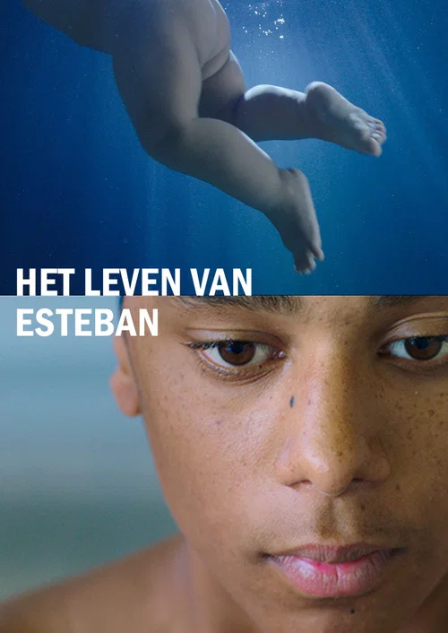 Het leven van Esteban постер
