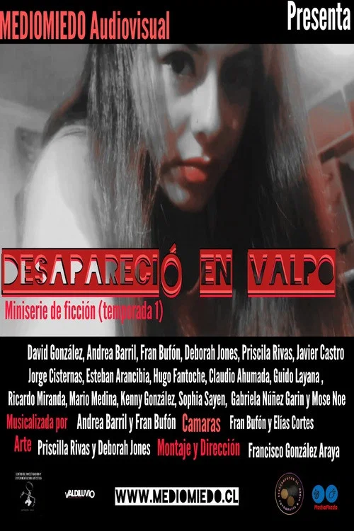 Desapareció en Valpo постер