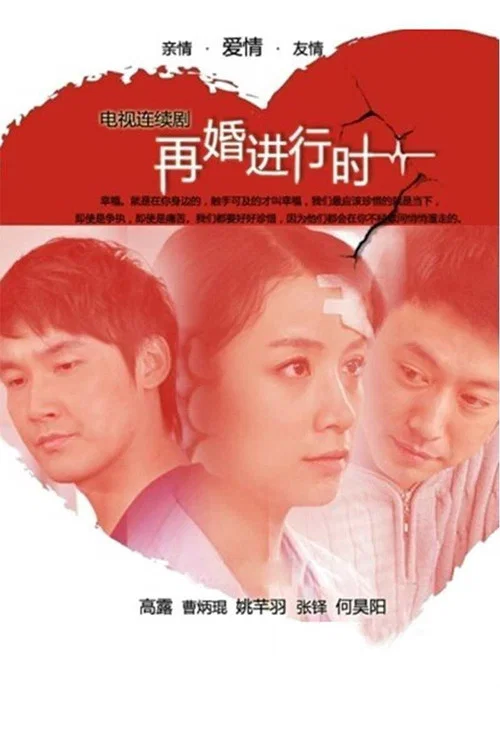 再婚进行时 постер
