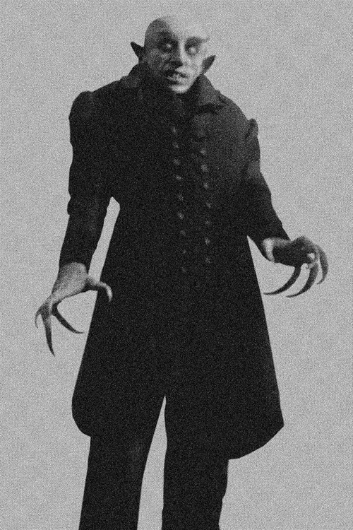 Speedball Nosferatu постер