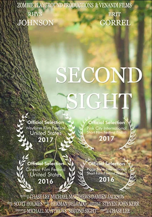 Second Sight постер