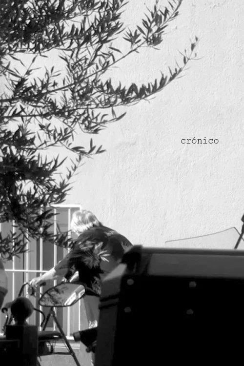 Crónico постер