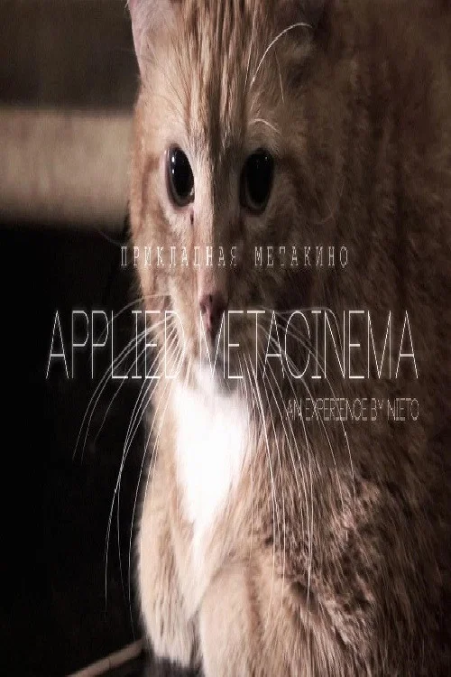 Metacinema appliqué постер