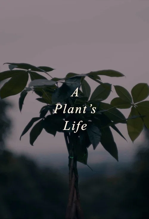 A Plant's Life постер