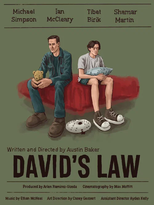 DAVID'S LAW постер