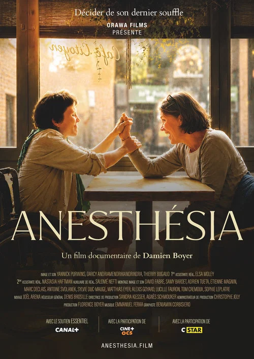 Anesthesia постер