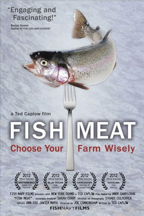 Fish Meat постер