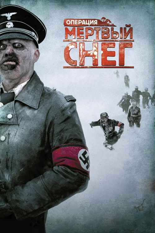 Операция «Мёртвый снег» постер