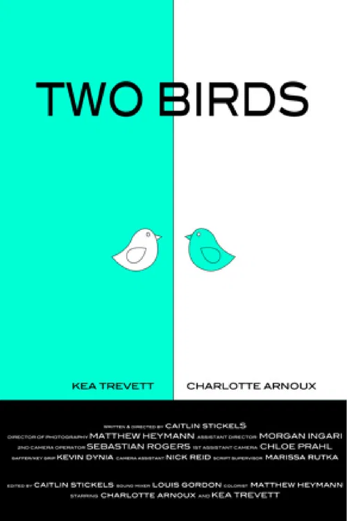 Two Birds постер