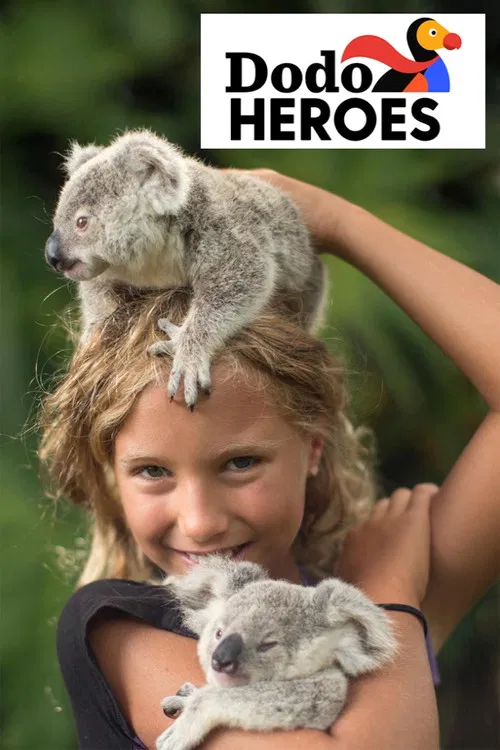 Dodo Heroes постер