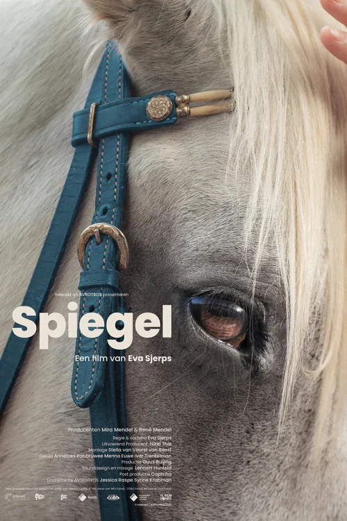 Spiegel постер