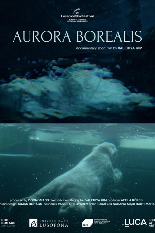 Aurora Borealis постер