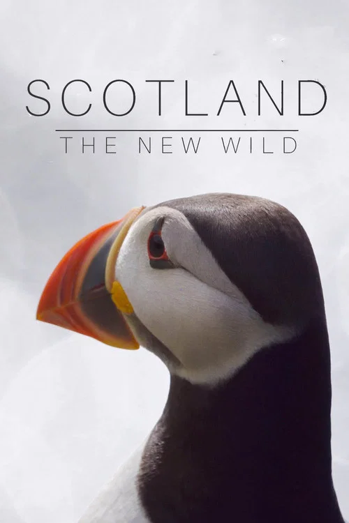 Scotland: The New Wild постер