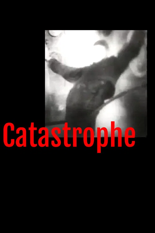 Catastrophe постер