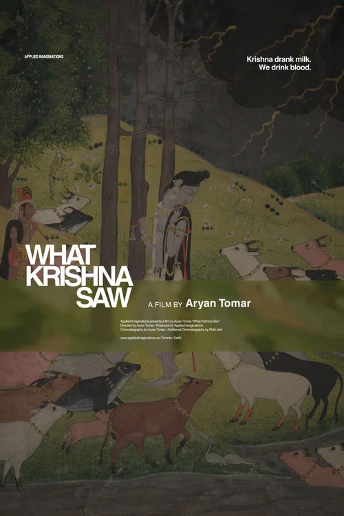 What Krishna Saw постер