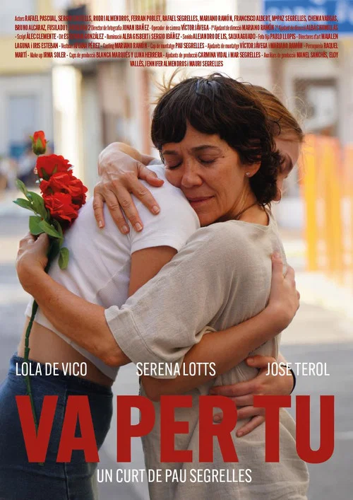 VA PER TU постер
