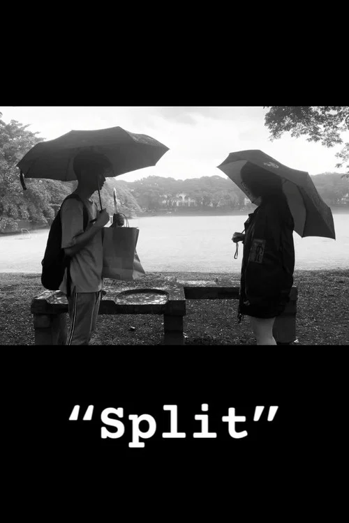 Split постер