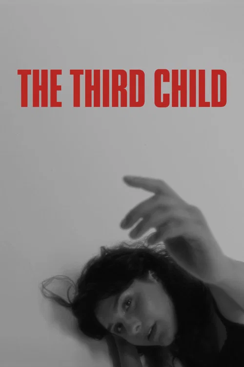 The Third Child постер