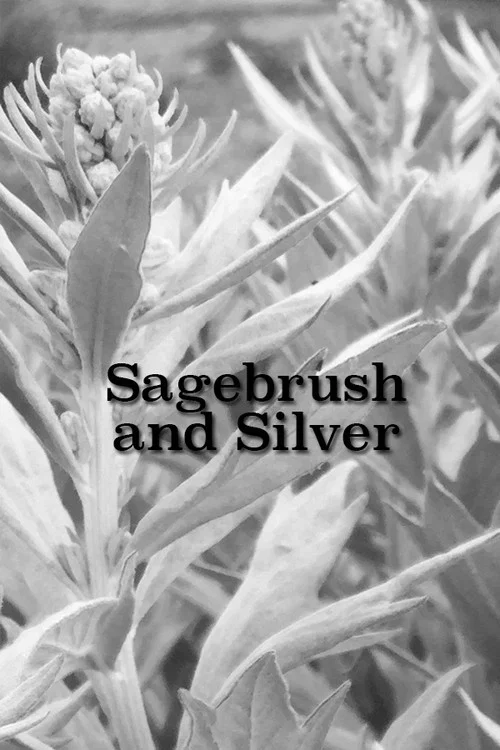 Sagebrush and Silver постер