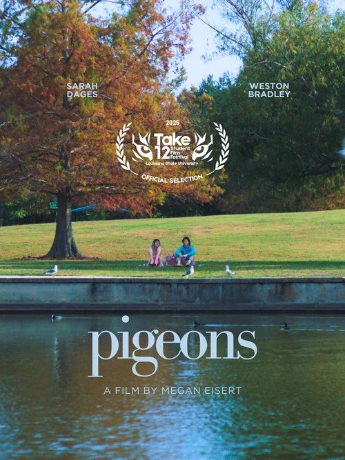 Pigeons постер