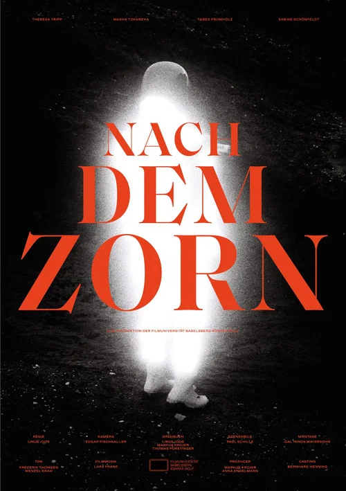 Nach dem Zorn постер