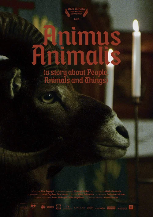 Animus Animalis (istorija apie žmones, žvėris ir daiktus) постер