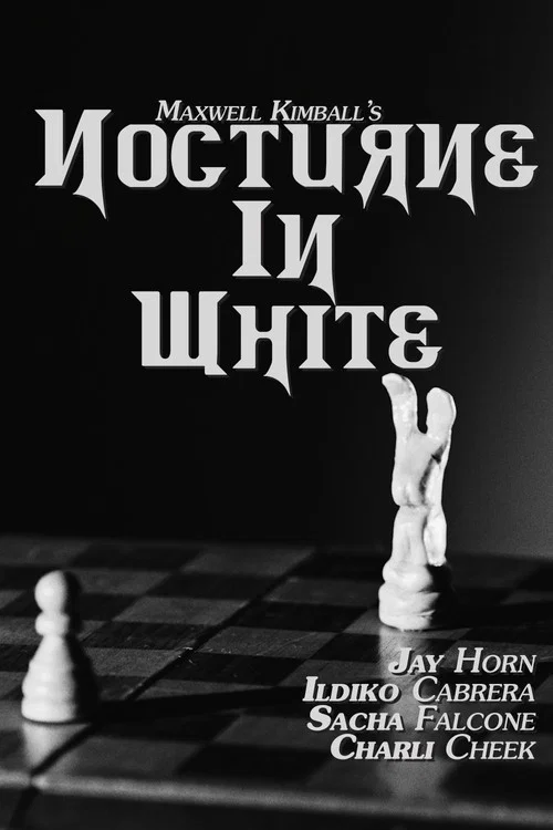 Nocturne in White постер