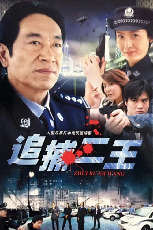 追捕二王 постер