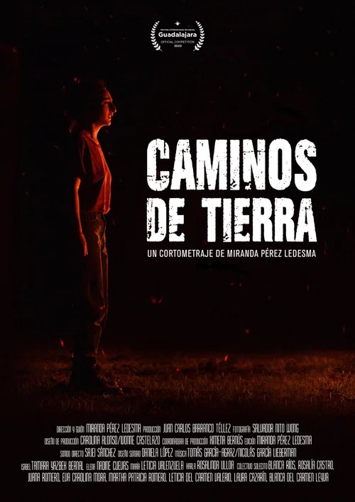 Caminos de tierra постер