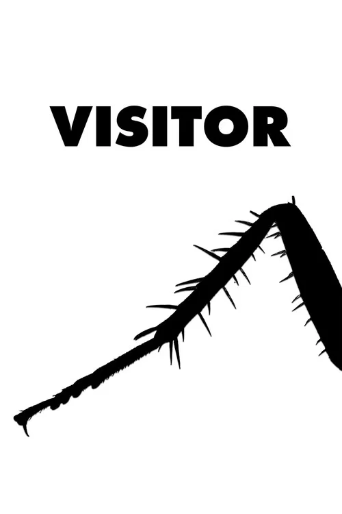 Visitor постер