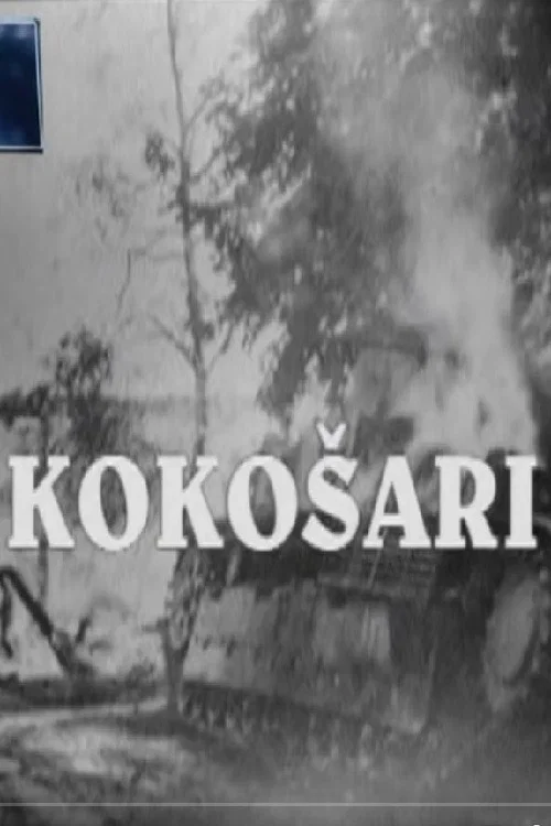 Kokošari постер