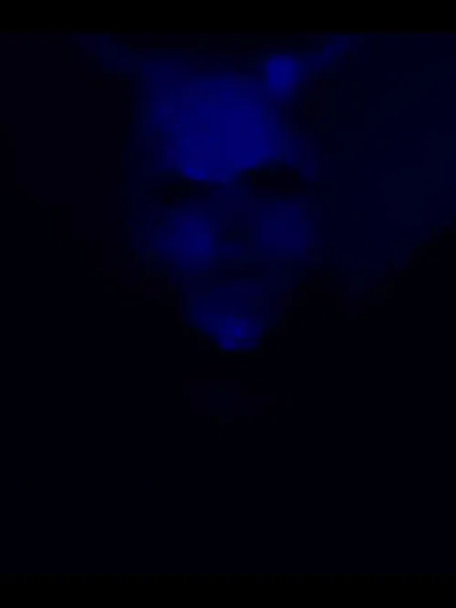 (R)eliving the (E)xecution of (M)yself постер