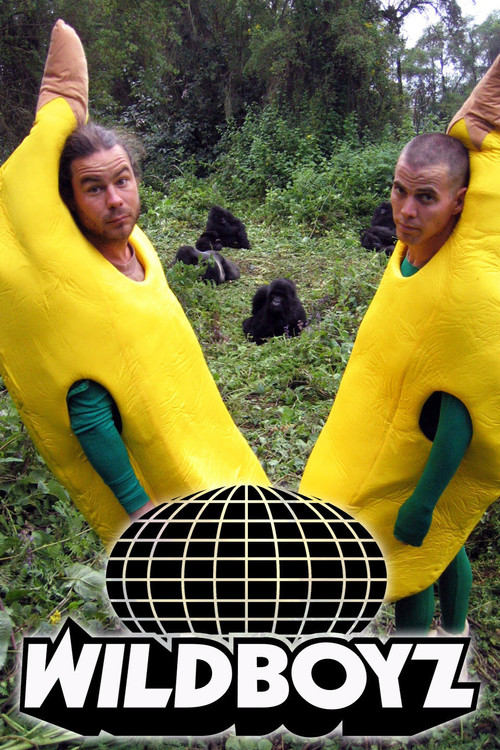 Wildboyz постер
