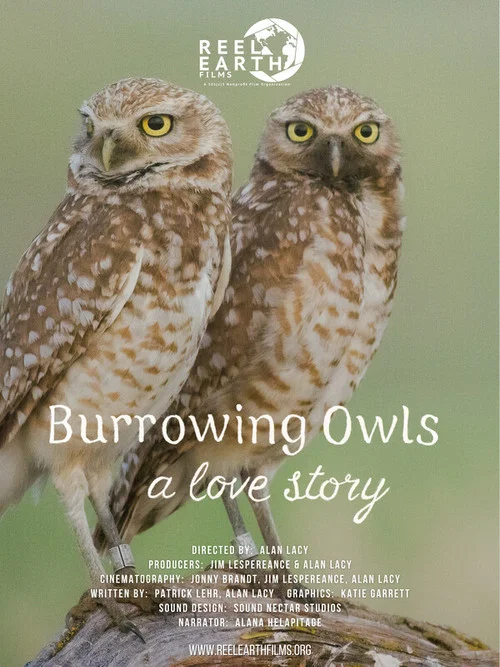 Burrowing Owls: A Love Story постер