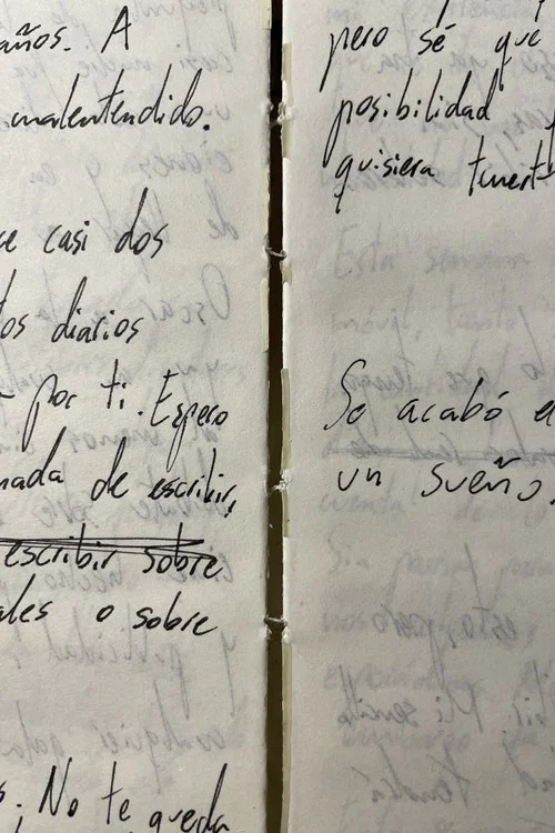 Releyendo mi diario (Autorretrato) постер