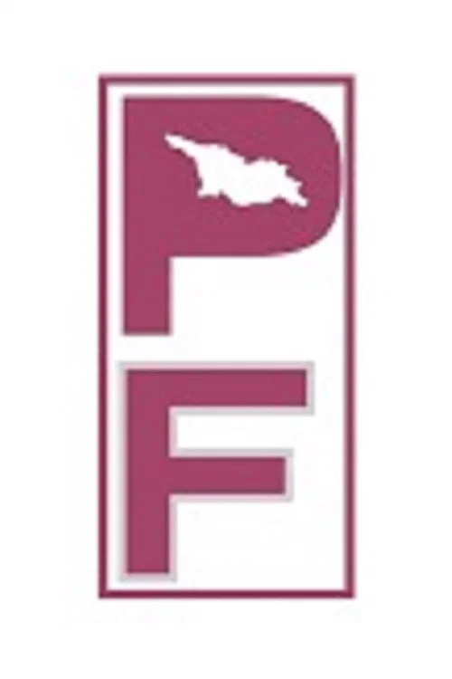 Post Factum постер