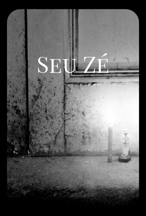 Seu Zé постер
