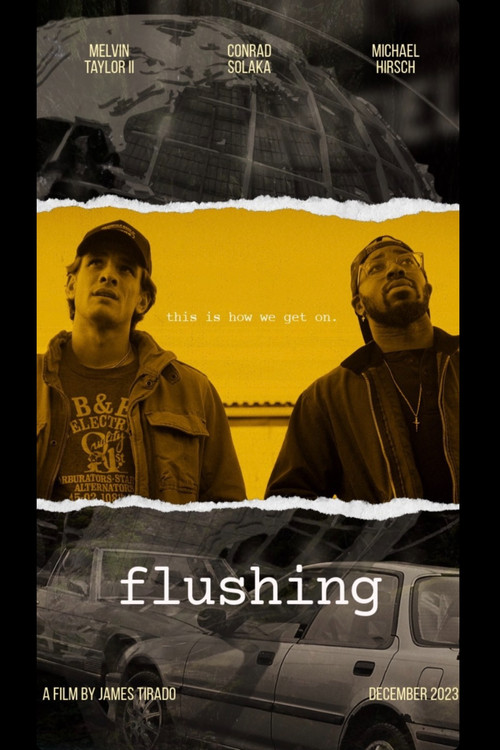 Flushing постер