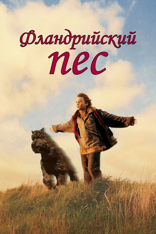 Фламандский пёс постер