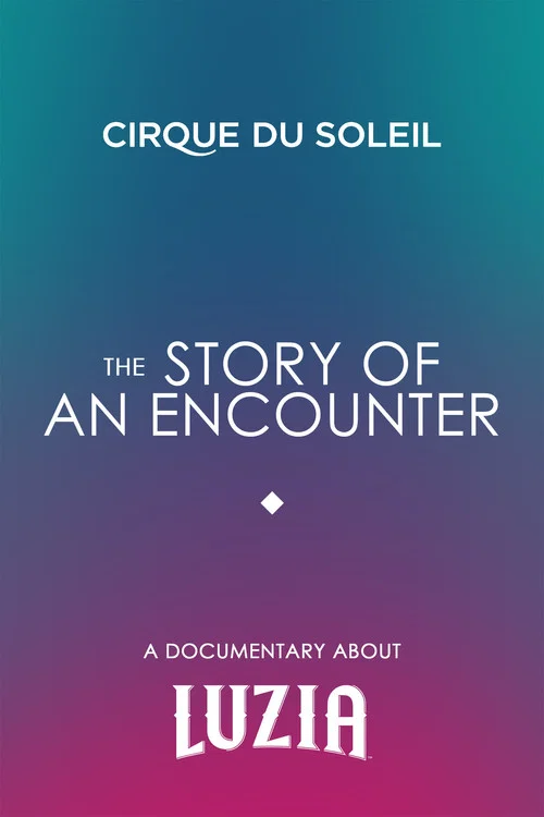 The Story Of An Encounter постер