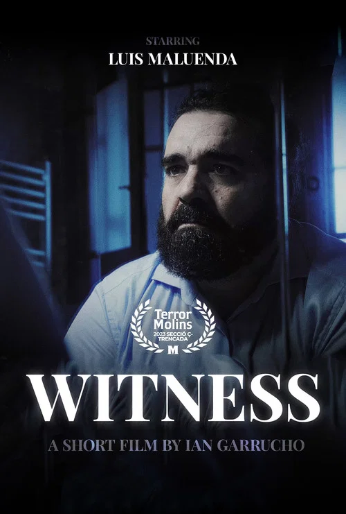 Witness постер