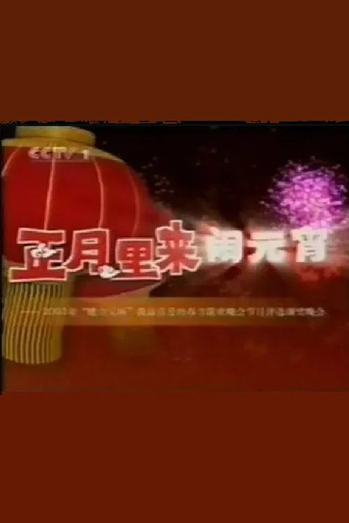2003年中央电视台元宵晚会 постер