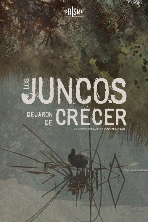 Los Juncos Dejaron de Crecer постер
