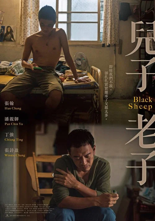 兒子老子 постер