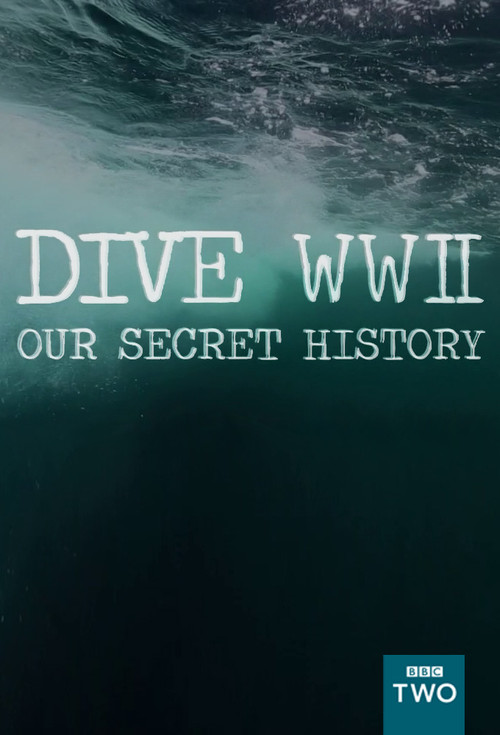 Dive WWII : Our secret history постер