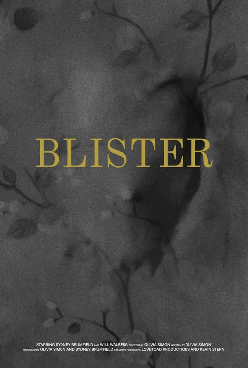 Blister постер