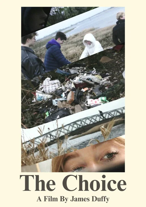 The Choice: Illegal Dumping постер