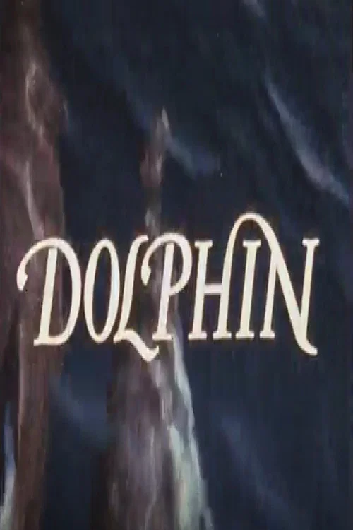Dolphin постер